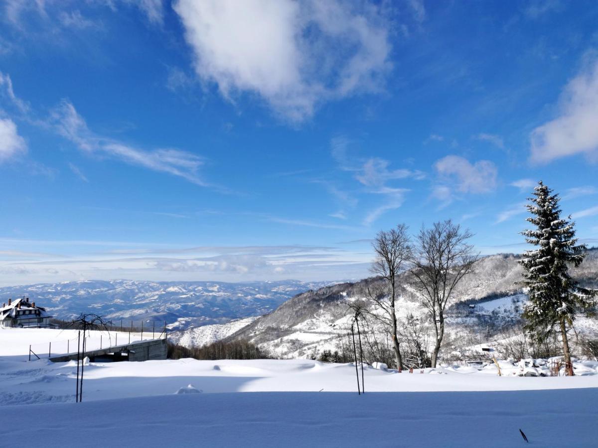 Golden Sky - Milmari Resort & Spa Κοπαόνικ Εξωτερικό φωτογραφία